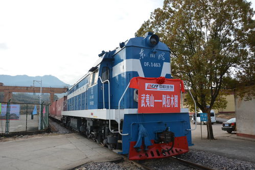 全球复苏前景仍不确定，中国经济稳定器作用凸显——以道路货物运输为观察视角